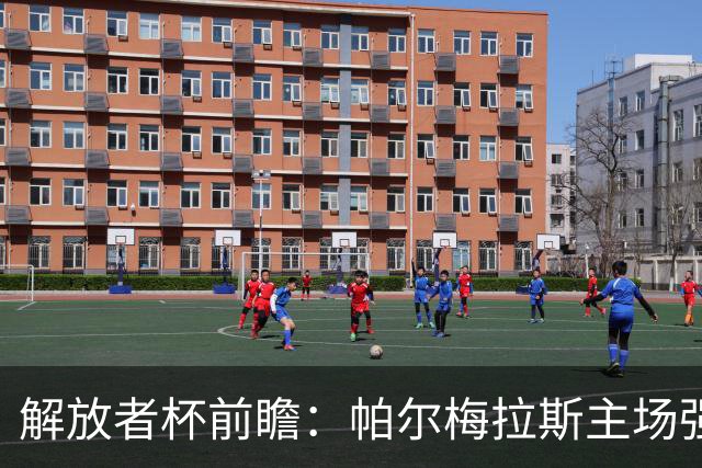 解放者杯前瞻：帕尔梅拉斯主场强势，弗鲁米嫩塞防守堪忧